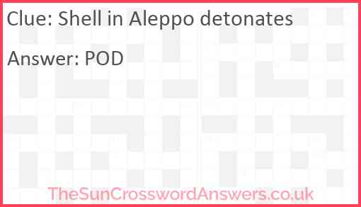 Shell in Aleppo detonates Answer