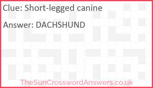 Short-legged canine Answer