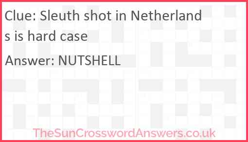 Sleuth shot in Netherlands is hard case Answer