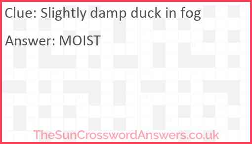 Slightly damp duck in fog Answer