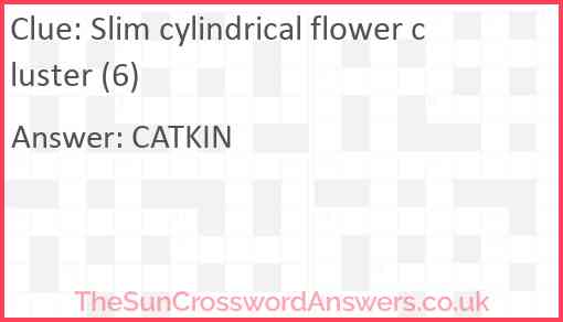Slim cylindrical flower cluster (6) Answer