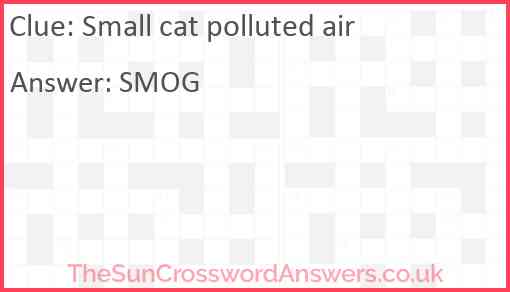Small cat polluted air Answer