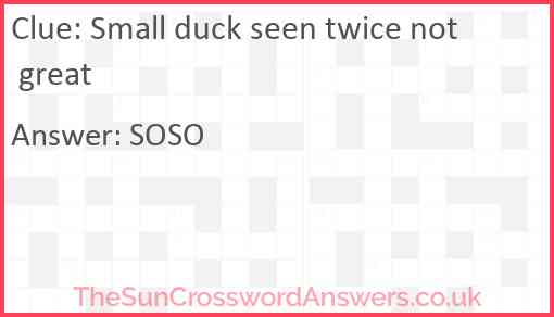 Small duck seen twice not great Answer