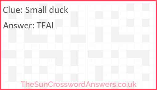 Small duck Answer