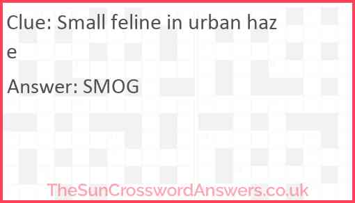 Small feline in urban haze Answer
