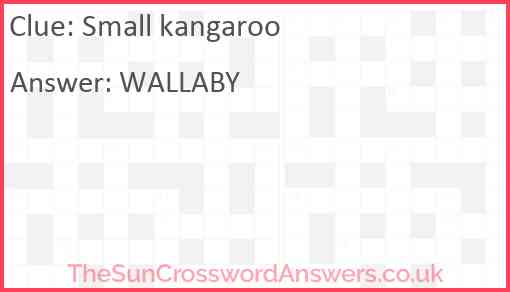 Small kangaroo Answer