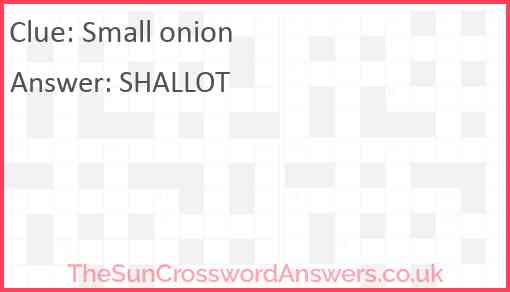 Small onion Answer