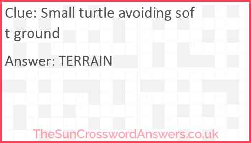 Small turtle avoiding soft ground Answer