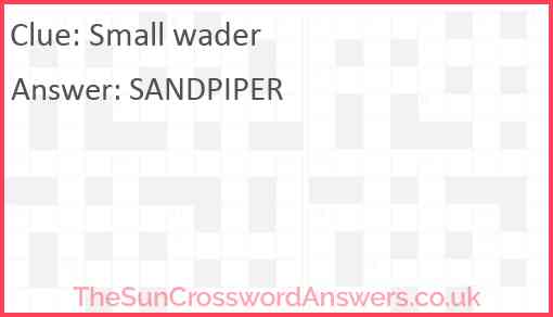 Small wader Answer