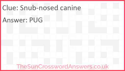 Snub-nosed canine Answer