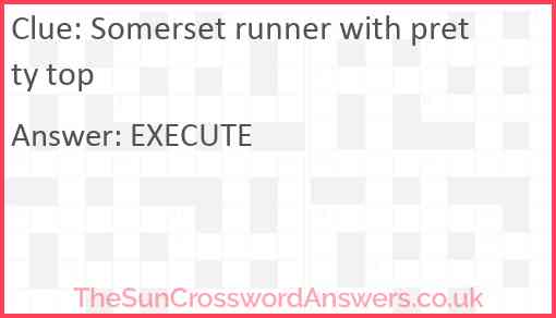 Somerset runner with pretty top Answer