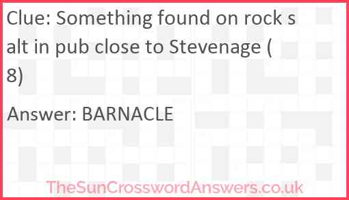 Something found on rock salt in pub close to Stevenage (8) Answer