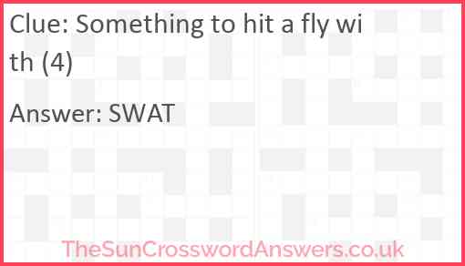 Something to hit a fly with (4) Answer