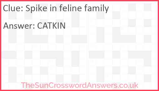 Spike in feline family Answer