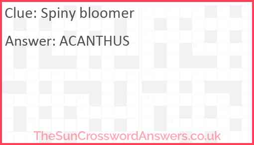 Spiny bloomer crossword clue TheSunCrosswordAnswers co uk Spiny bloomer crossword clue TheSunCrosswordAnswers co uk