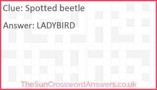 Spotted beetle Answer