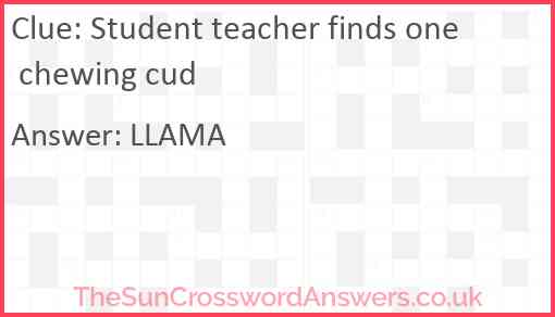 Student teacher finds one chewing cud Answer