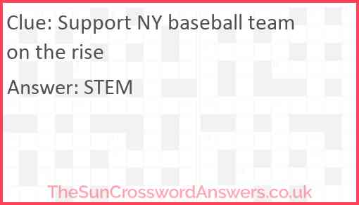 Support NY baseball team on the rise Answer