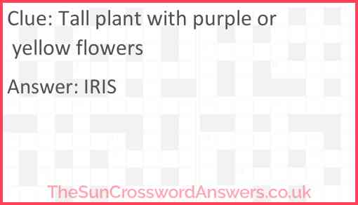 Tall plant with purple or yellow flowers Answer