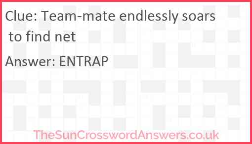 Team-mate endlessly soars to find net Answer