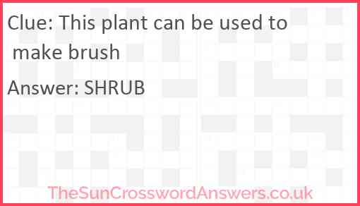 This plant can be used to make brush Answer