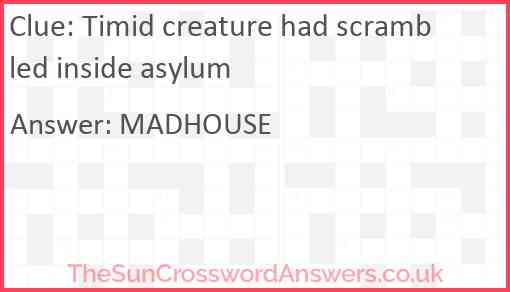 Timid creature had scrambled inside asylum Answer