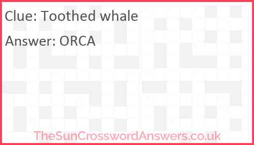 Toothed whale Answer