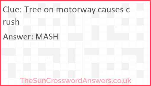 Tree on motorway causes crush Answer