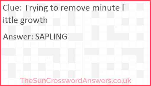 Trying to remove minute little growth Answer