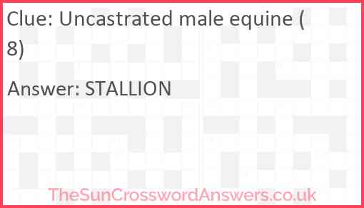 Uncastrated male equine (8) Answer