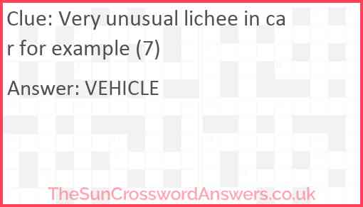 Very unusual lichee in car for example (7) Answer