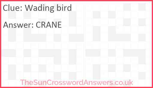 Wading bird crossword clue TheSunCrosswordAnswers co uk