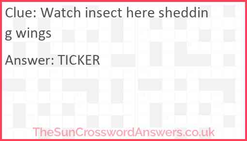 Watch insect here shedding wings Answer