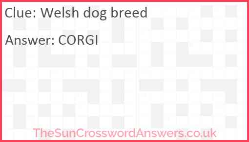 Welsh dog breed Answer