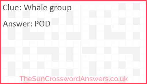 Whale group Answer