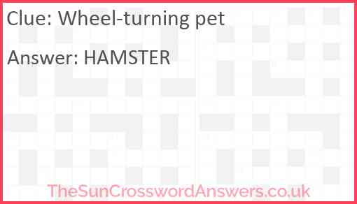 Wheel-turning pet Answer