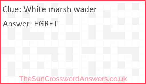 White marsh wader Answer