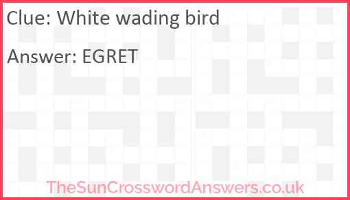 White wading bird Answer