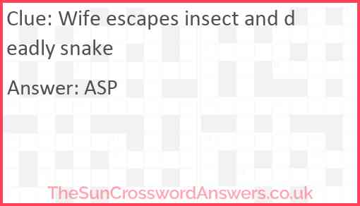 Wife escapes insect and deadly snake Answer