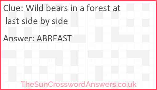 Wild bears in a forest at last side by side Answer