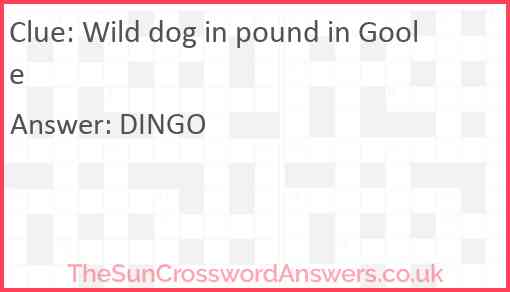 Wild dog in pound in Goole Answer