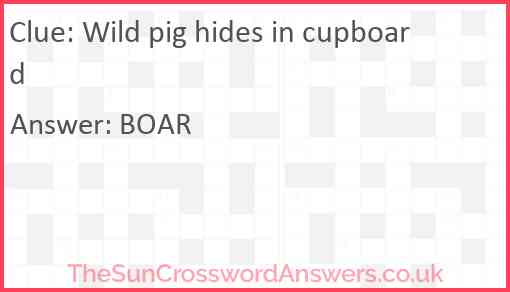 Wild pig hides in cupboard Answer
