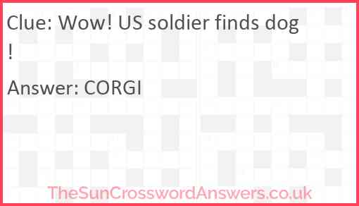 Wow! US soldier finds dog! Answer