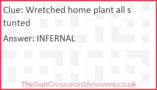 Wretched home plant all stunted Answer