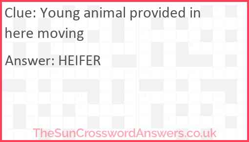 Young animal provided in here moving Answer