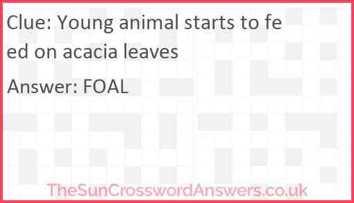 Young animal starts to feed on acacia leaves Answer