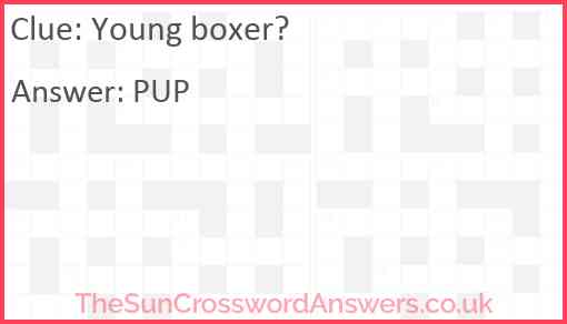 Young boxer? Answer