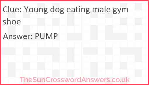 Young dog eating male gymshoe Answer