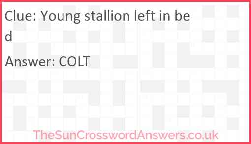 Young stallion left in bed Answer