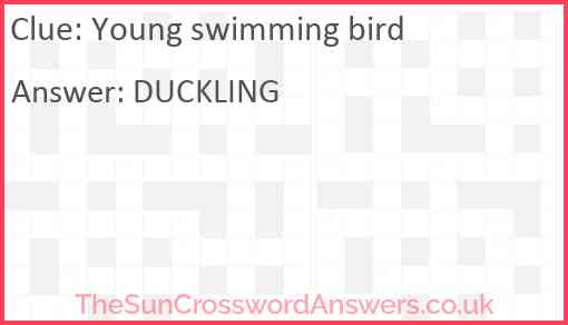 Young swimming bird Answer
